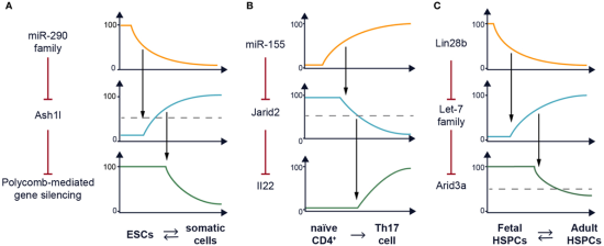 Recurrent network motif in post-transcriptional (re)programming. Refer to caption for full description.