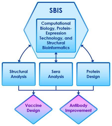 Graphic outlining three areas of Structural Bioinformatics Core Section (SBIS): Computational Biology, Protein-Expression Technology, and Structural Bioinformatices