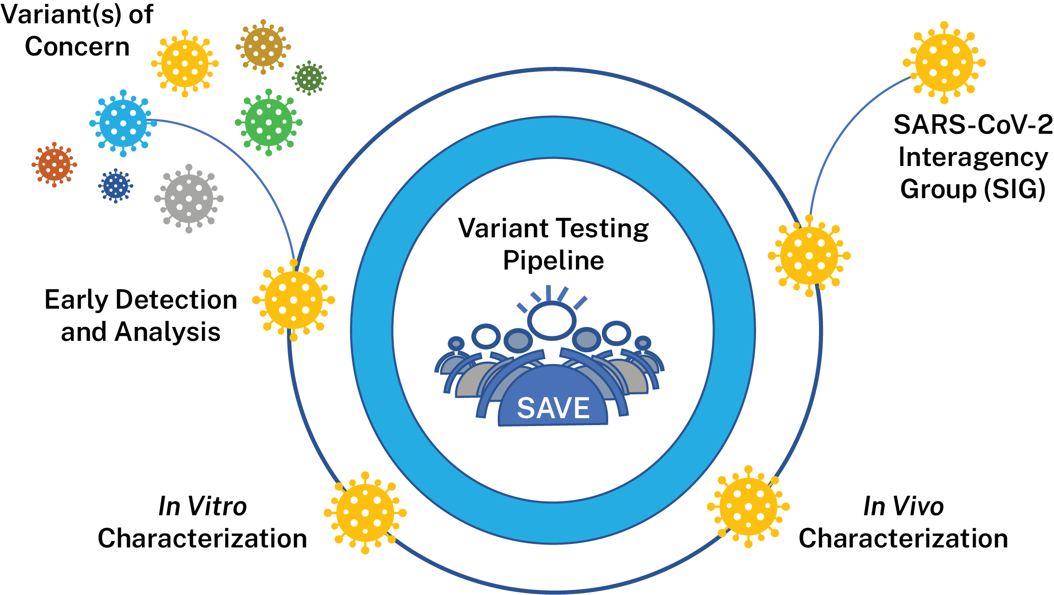 Diagnostics and analysis of SARS-CoV-2: current status, recent