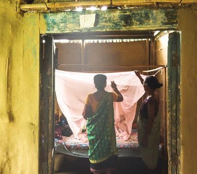 A study worker inspects a mosquito bed net.