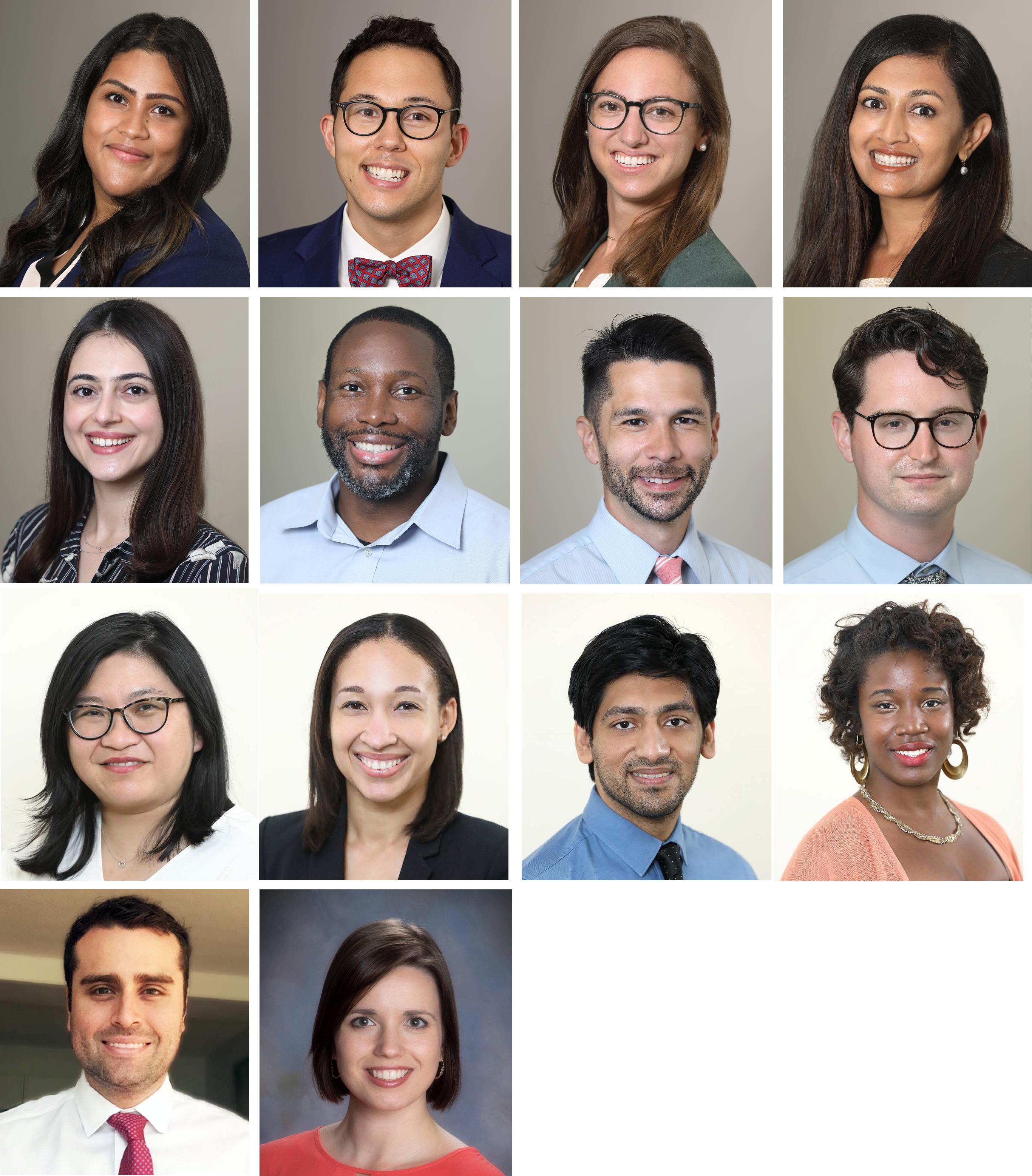portraits of fellows