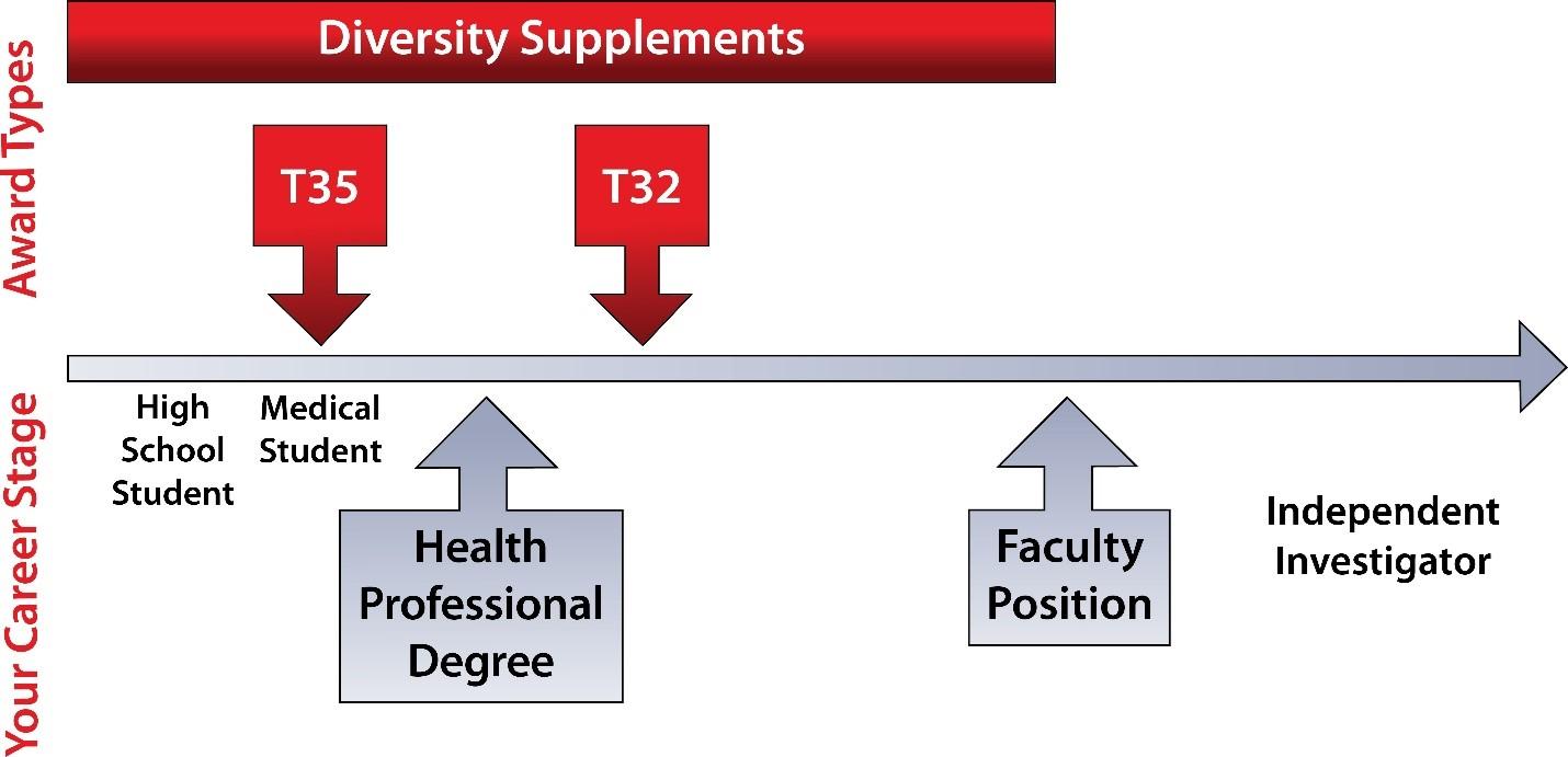 Image: Timeline for M.D.s to apply to your institution. We summarize the graphic fully in the text below.