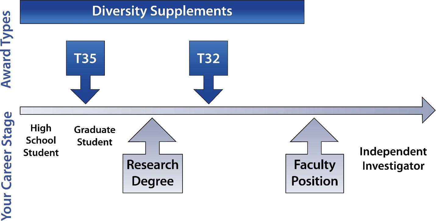 Image: Timeline for Ph.D.s. to apply to your institution. We summarize the graphic fully in the text below.