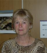 Suzanne U. Emerson, Ph.D