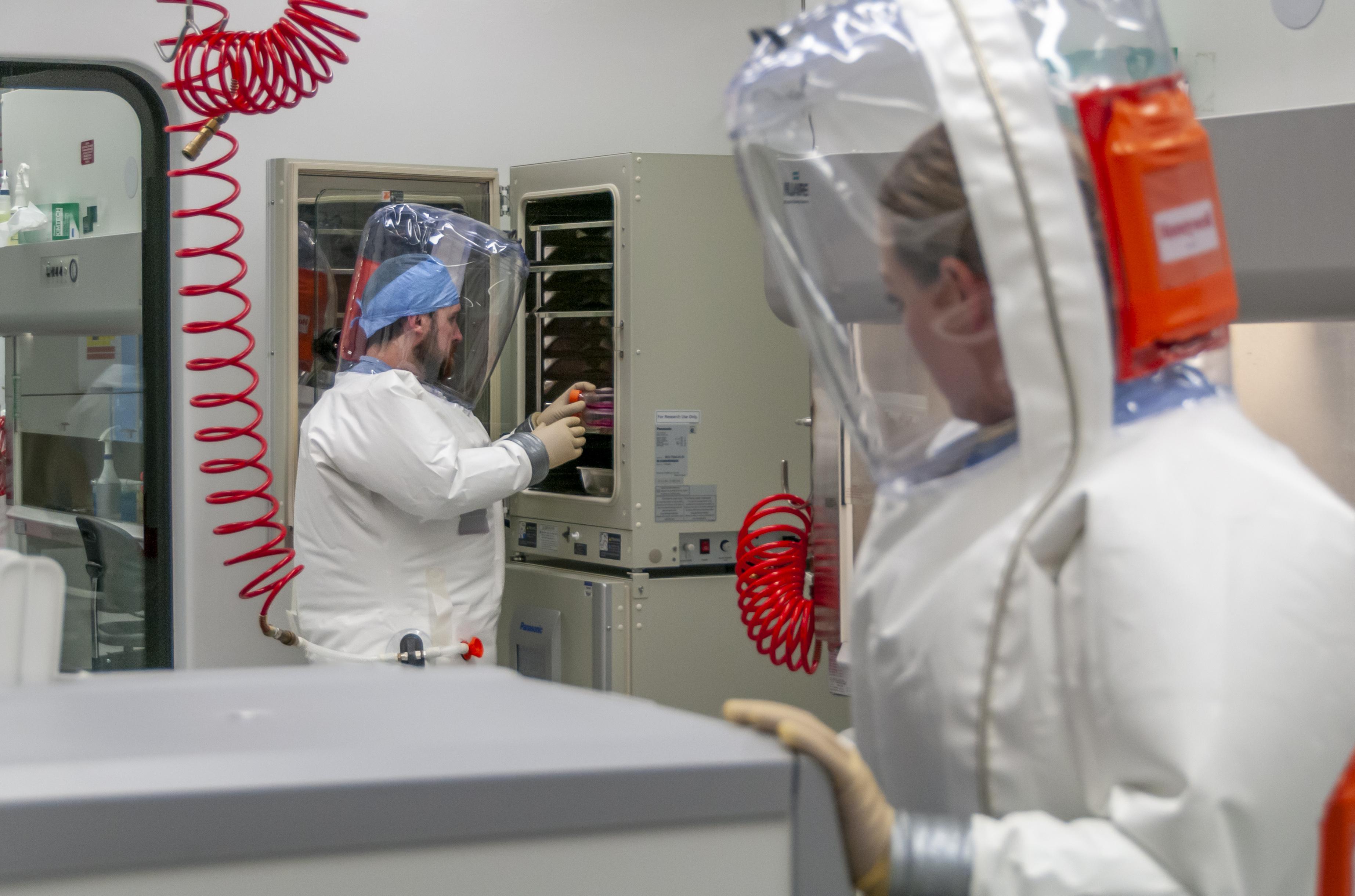 Two scientists working in lab