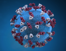 An illustration of the virus which causes measles.