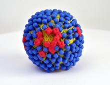 A picture of a 3-D printed influenza virus