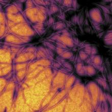 Prion protein fibrils