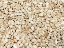 Sesame seeds