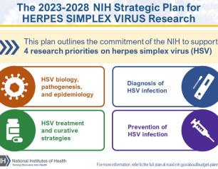 Two horizontal banners with text summarizing the title of the strategic plan and explaining NIH has four categories of research priorities. Below them are four boxes, each summarizing the research priority topic areas.