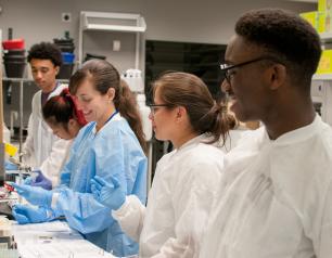 Students working in the lab beside one of their postdoc mentors.