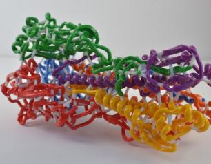 3D print of hemagglutinin (HA), one of the proteins found on the surface of influenza virus that enables the virus to infect human cells