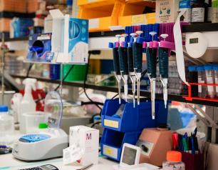 Workbench in NIAID intramural laboratory, with supplies and equipment.