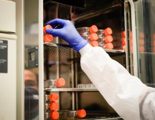 NIAID researcher reaching for cell cultures in a CO2 incubator