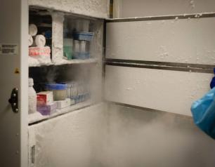 Researcher opens freezer door