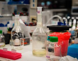 materials on a lab bench