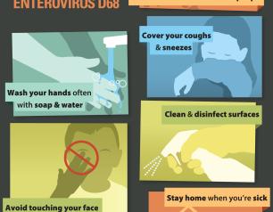 CDC poster showing how to prevent getting and spreading EV-D68