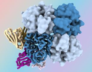 A multicolored globular representation of the influenza neuraminidase protein with colored tubular representations of antibodies bound, all on a colorful gradient background.