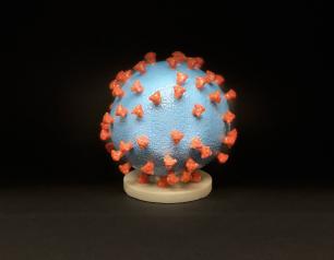 3D print of a SARS-CoV-2 particle