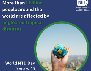 A graphic of a hand holding a small globe, with the text "More than 1 billion people around the world are affected by neglected tropical diseases. World NTD Day, January 30."
