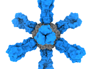 Computer-generated image shows influenza virus hemagglutinin HA epitopes arrayed on a nanoparticle