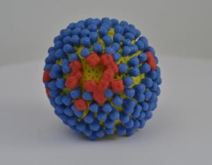 3D print of influenza virus.