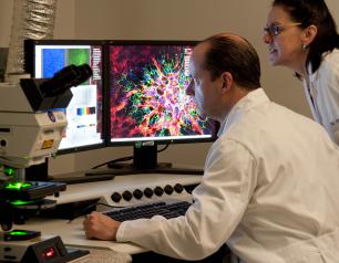 Two scientists observe ocular tissue samples under a laser scanning microscope
