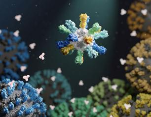depiction of nanoparticle vaccine