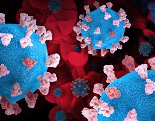 Rendition of SARS-CoV-2, displaying 3D prints of virus particles (colorized blue and pink; the blue virus surface is covered with pink spike proteins that enable the virus to enter and infect human cells), and a background image that is a colorized scanning electron micrograph of a cell (red) infected with the Omicron strain of the virus (blue)