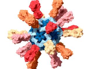 computer-generated image of nanoparticle influenza vaccine