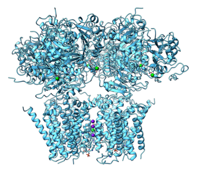 Computer Generated Model of a Protein