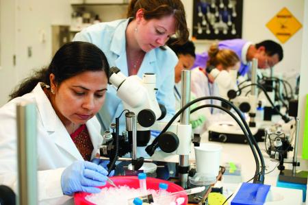 Scientists working in a lab