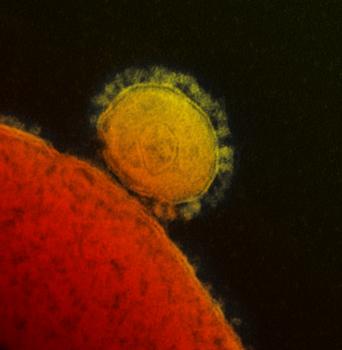 Transmission electron micrograph of Middle East respiratory syndrome coronavirus (MERS-CoV)