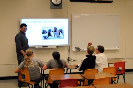 instructor standing in front of a large screen teaching to 4 students sitting at desks