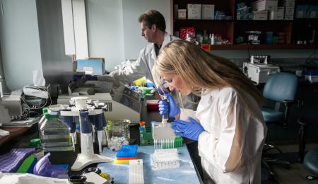 two scientists working in the lab with pipets and microscopes