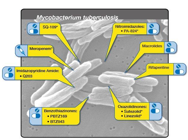 SQ-109, Meropenem, Q203, PBTZ169, BTZ043, PA-824, Macrolides, Rifapentine, Sutezolid, and Linezolid are new candidate TB drugs under development.